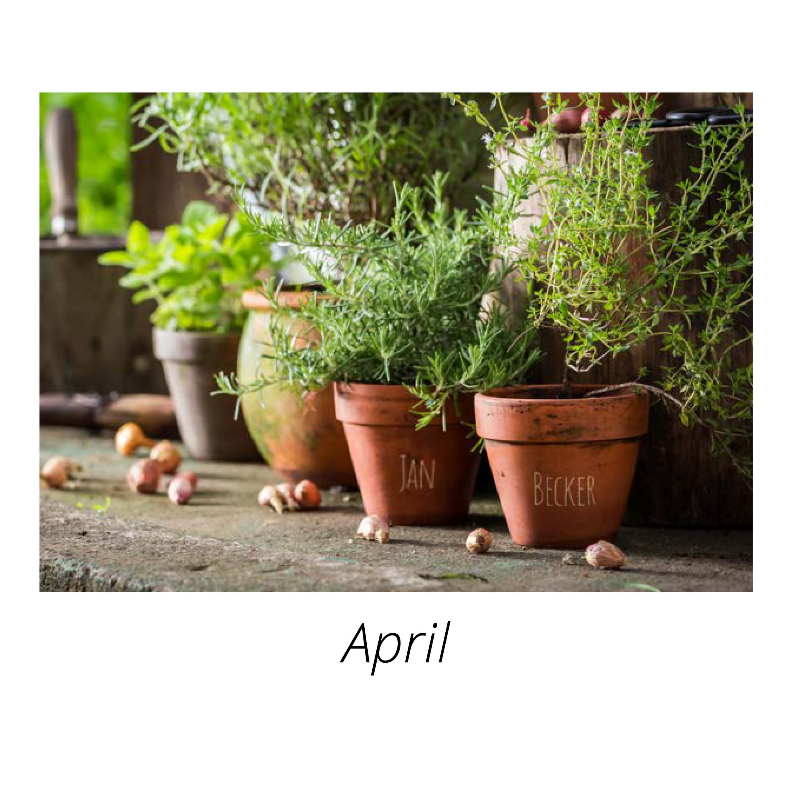 Tischaufstellkalender Postkarte mit Bildpersonalisierung 2025