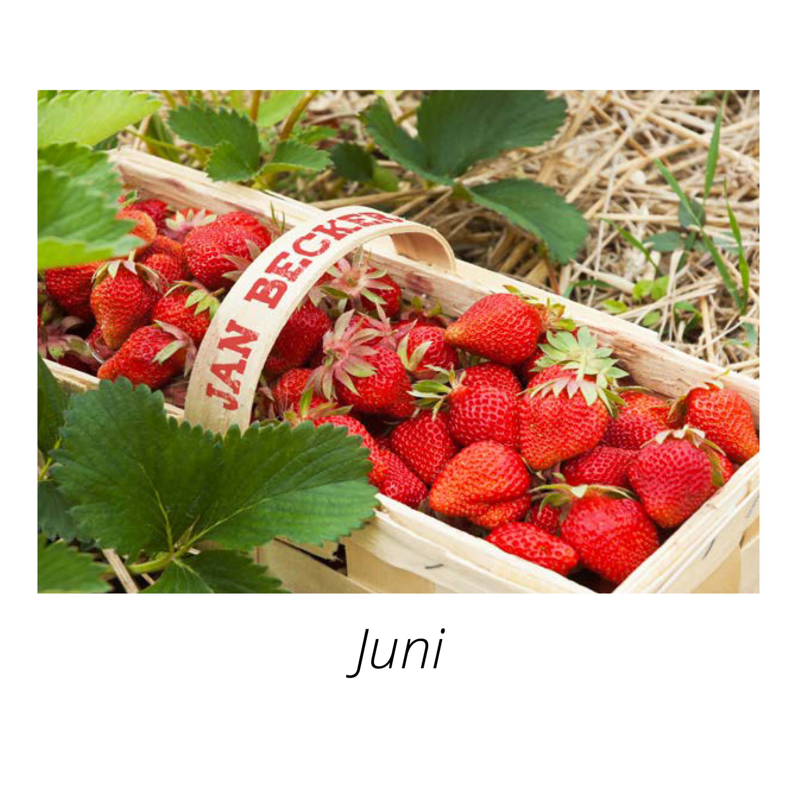 Tischaufstellkalender Postkarte mit Bildpersonalisierung 2025